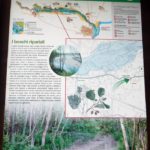I Boschi ripariali - Parco Regionale Fluviale del Trebbia