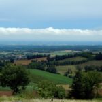 A partire dal 1000 si riprese ad abbattere le foreste per procurarsi il legname e per ottenere maggiori spazi coltivabili. Con la costruzione dei canali artificiali e le opere di bonifica il paesaggio agricolo padano prese l'aspetto odierno