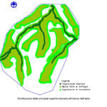 Distribuzione delle superfici boscate'area permette di individuare differenti habitat naturali: bosco misto, ripariale, di transizione