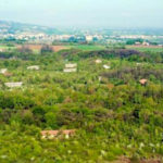 Vista panoramica del Bosco di Rio Gandore